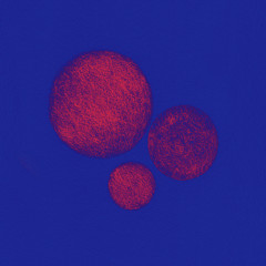 Naklejka premium Blue Red Circles