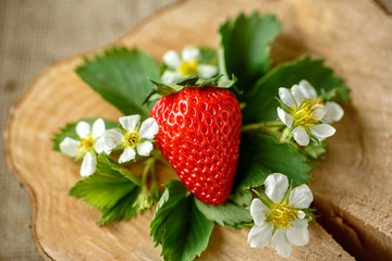 fresh strawberries top view.