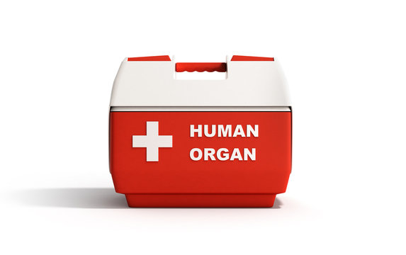 Closed Human Organ Refrigerator Box Red 3d Render On White Background