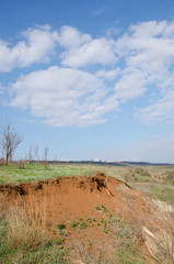 Fototapeta premium trees on hills