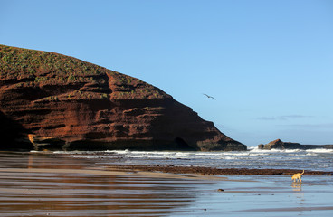le Maroc