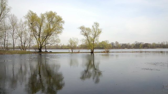 Nice morning spring day close to the Dnieper river with willows in the water