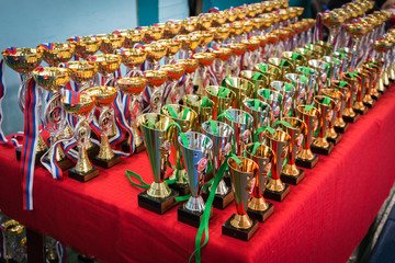 Karate World Cup.Kids boxing, kickboxing children. opularization of sports, healthy lifestyle © yarochkins