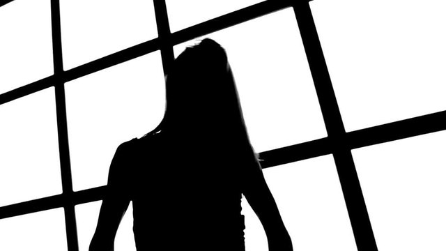 Silhouette of girl with long waving hair in profil on white background with grid window.