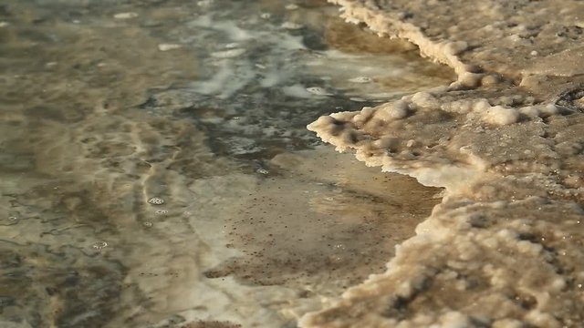 Salt on the shore of Dead Sea in Jordan. White salt deposits of Dead Sea