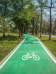 Bike lane in park