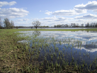 Überschwemmte Wiese, Wiese, Hochwasser