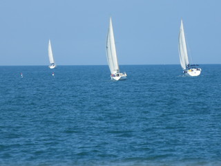 Obraz premium Barca a vela