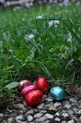 Chasse aux oeufs de Pâques