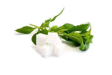 Stevia Zucker isoliert freigestellt auf weißen Hintergrund