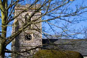 Time through the trees