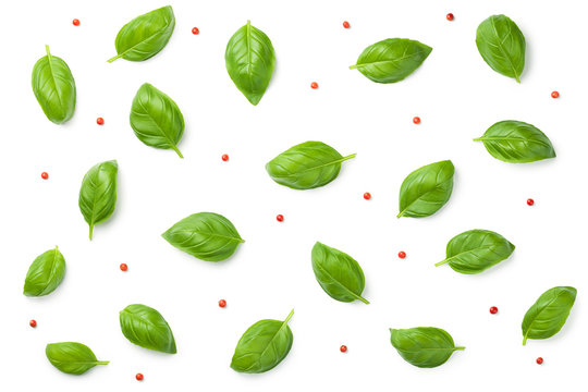 Basil Leaves with Red Peppercorns Isolated on White Background