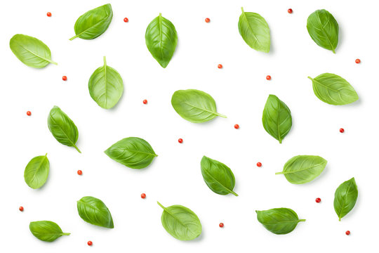 Basil Leaves with Red Peppercorns Isolated on White Background