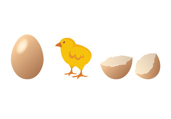 Chicken and egg vector. Cute chick hatching. Cartoon chicken. Easter illustration
