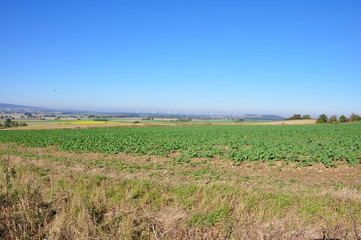 Obraz premium Calenberger Land