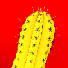 Yellow Cactus. Creative design. Minimal fashion art gallery