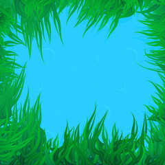Fototapeta na wymiar Vector algae elements on seamless background with bubbles.