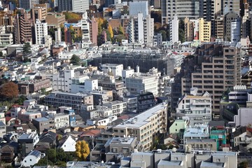 Fototapeta premium Tokyo, Japan