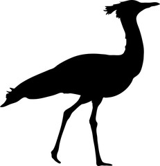 Silhouette of a wild kori bustard - digitally hand drawn vector silhouette, black isolated on white background