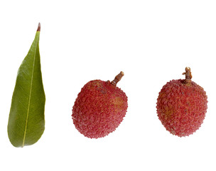 Litchi