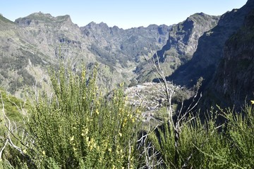 Madeira im Frühling