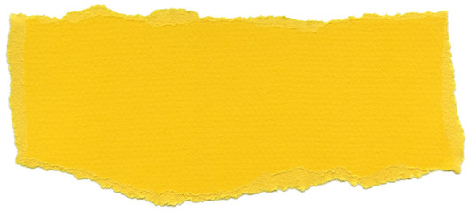 Isolated Fiber Paper Texture - Mikado Yellow XXXXL