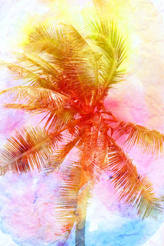 Retro photo of a beautiful watercolor of palm trees