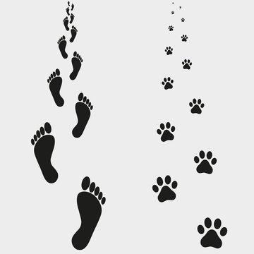 Traces of a man and a dog on a gray background