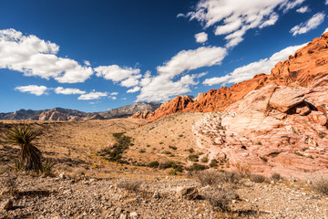 Red Rock Desert