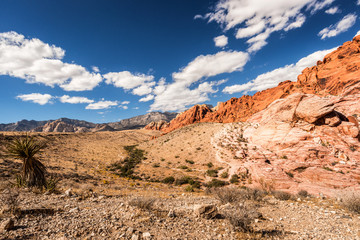 Fototapeta na wymiar Red Rock Desert