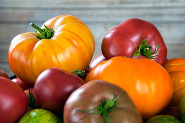 Heirloom tomatoes, various colors, red, yellow, orange, green