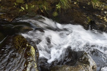 Obraz premium Madeira im Frühling