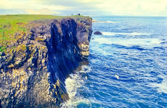 Touristen stehen/ Reisegruppe steht auf Steilk&uuml;ste am Meer zwischen Hellnar und Arnarstapi, M&ouml;wen, Basalts&auml;ulen, Halbinsel Sn&aelig;fellsnes, Island/ Iceland, Europa 