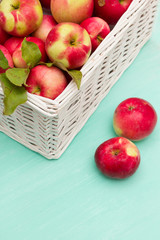 Top view on white basket full of fresh red organic apples on turquoise background. Autumn Harvest. Healthy snack.