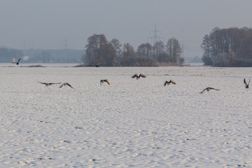 seunset in winter