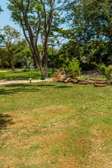 Wide view of green garden with grass, trees, plants, shadows and pathway, Chennai, Tamil nadu, India, Jan 29 2017 