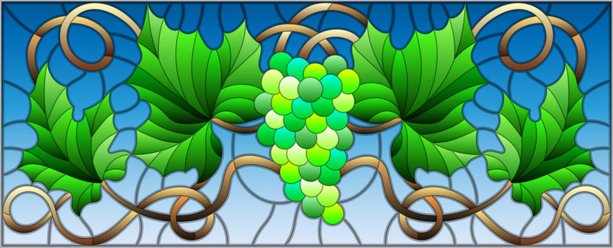 The illustration in stained glass style painting with a bunch of green grapes and leaves on blue background