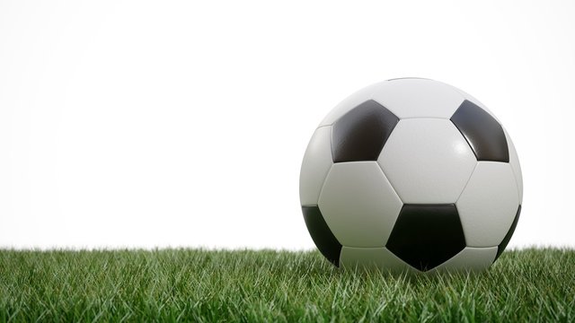 3D rendering Isolated Soccer Ball in the grass on white background