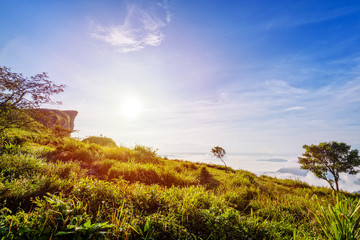 Beautiful landscape nature of sunrise on peak mountain with sun cloud fog and bright colors of sky in winter at Phu Chi Fa Forest Park is a famous tourist attraction of Chiang Rai Province, Thailand