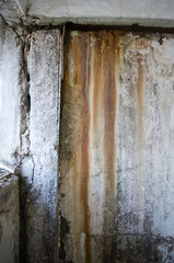 Mold damage wall abandoned