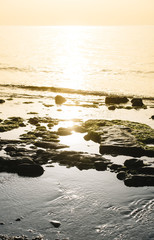 To dawn in the beach