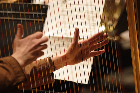 harpe