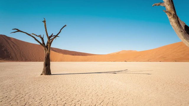 Static timelapse of a landscape scene in Deadvlei, Namibia with a solidified tree in a white clay pan while the shadows are  d sand dunes available on request.