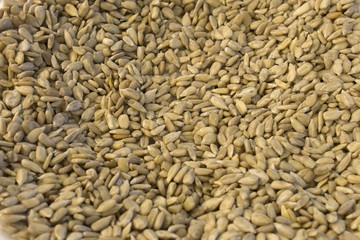 This is a photograph of hulled Sunflower Seeds