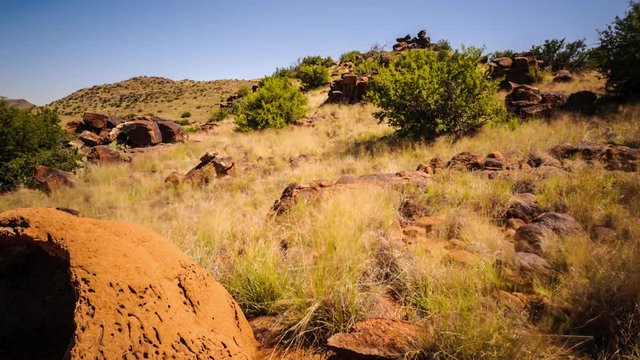 A linear timelapse moving past a mud termite mound in a landscape setting in the Karoo, South Africa on a sunny day available on request.
