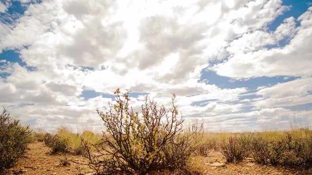 Linear timelapse of a typical Karoo landscape in a dry, hot and barren setting with shrubs and grass in the foreground of a low angle shot against a blue sky with bright scattered clouds available on request.