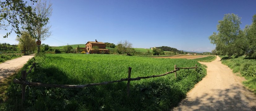 Campo