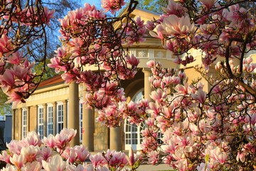 Spring Time