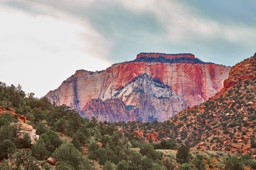 Naklejka premium Incredibly beautiful landscape in Zion National Park, Washington County, Utah, USA.