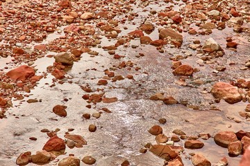 Incredibly beautiful landscape in Zion National Park, Washington County, Utah, USA.